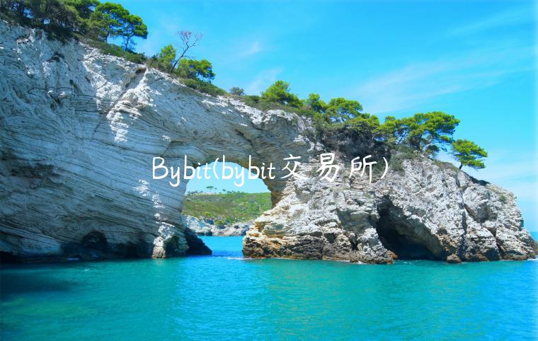 Bybit(bybit交易所)