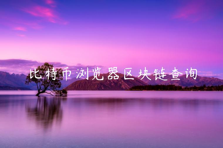 比特币浏览器区块链查询