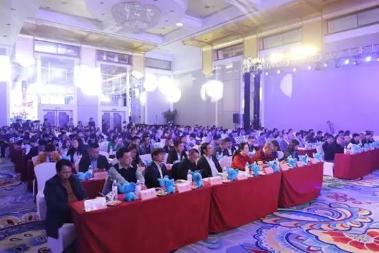 大象传媒苹果下载安装（大象影视苹果下载安装）1