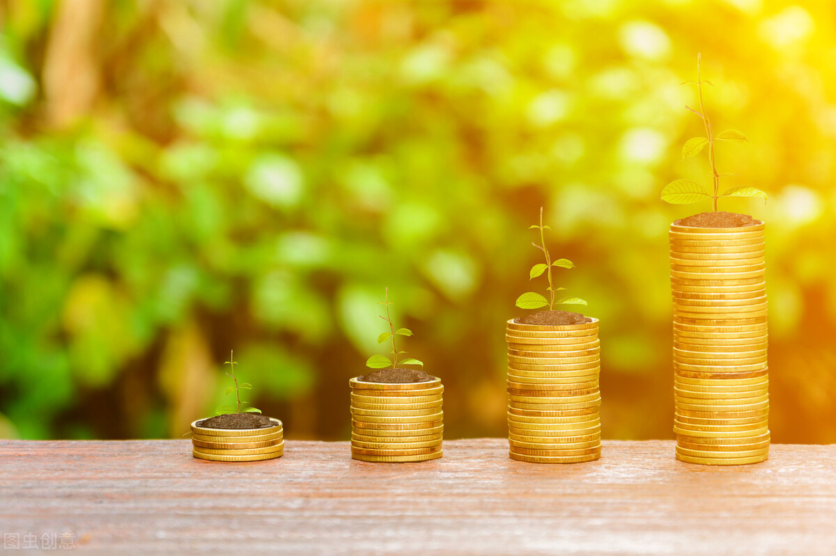 货币基金排名前十（货币基金排名前十名业绩排行榜）8