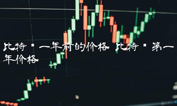 比特币一年前的价格 比特币第一年价格