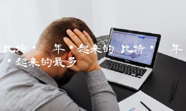 比特币哪年涨起来的 比特币哪年涨起来的最多