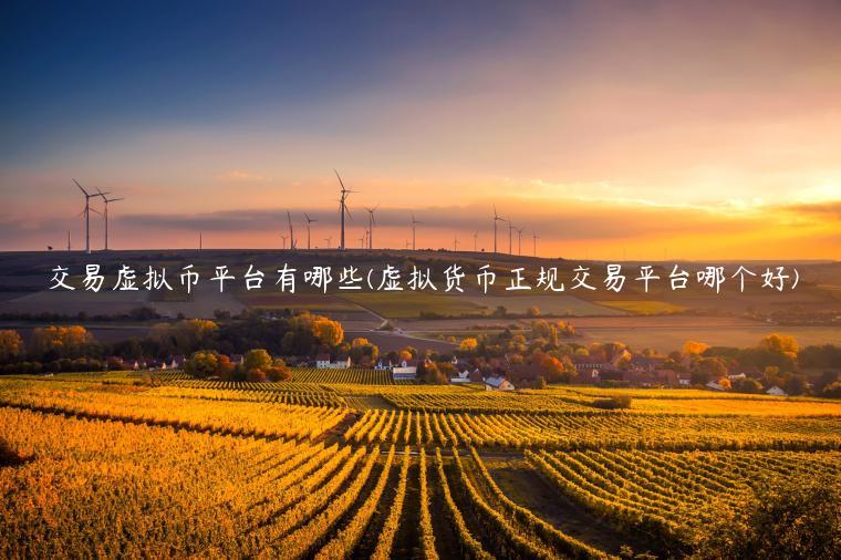 交易虚拟币平台有哪些(虚拟货币正规交易平台哪个好)插图 交易虚拟币平台有哪些(虚拟货币正规交易平台哪个好)