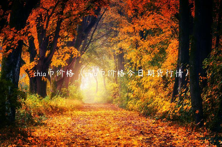 chia币价格(chia币价格今日期货行情)插图 chia币价格(chia币价格今日期货行情)