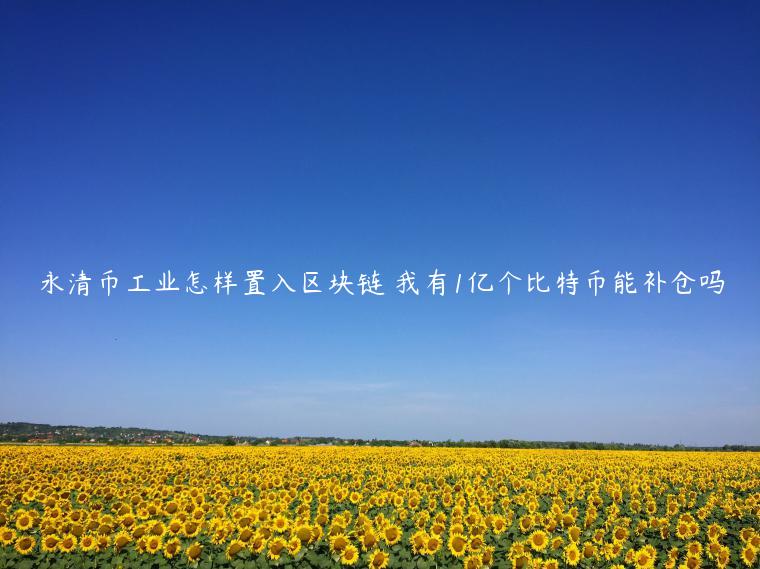 永清币工业怎样置入区块链 我有1亿个比特币能补仓吗插图 永清币工业怎样置入区块链 我有1亿个比特币能补仓吗