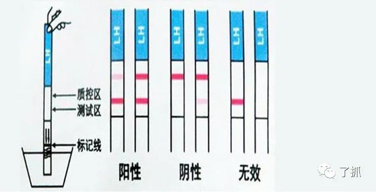 ava官网(japonensisjava官网)