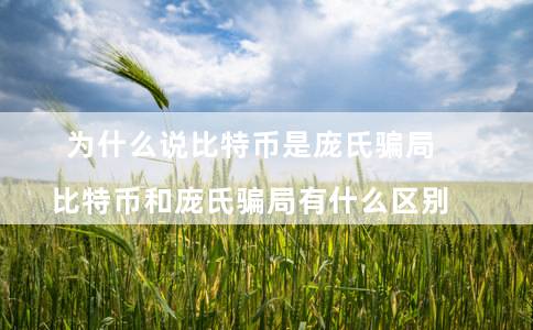 为什么说比特币是庞氏骗局(比特币和庞氏骗局有什么区别)