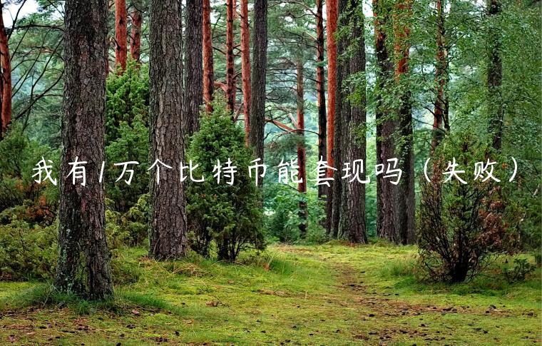 我有1万个比特币能套现吗（失败）
