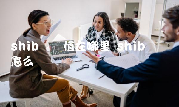 shib币价值在哪里 shib这个币怎么样