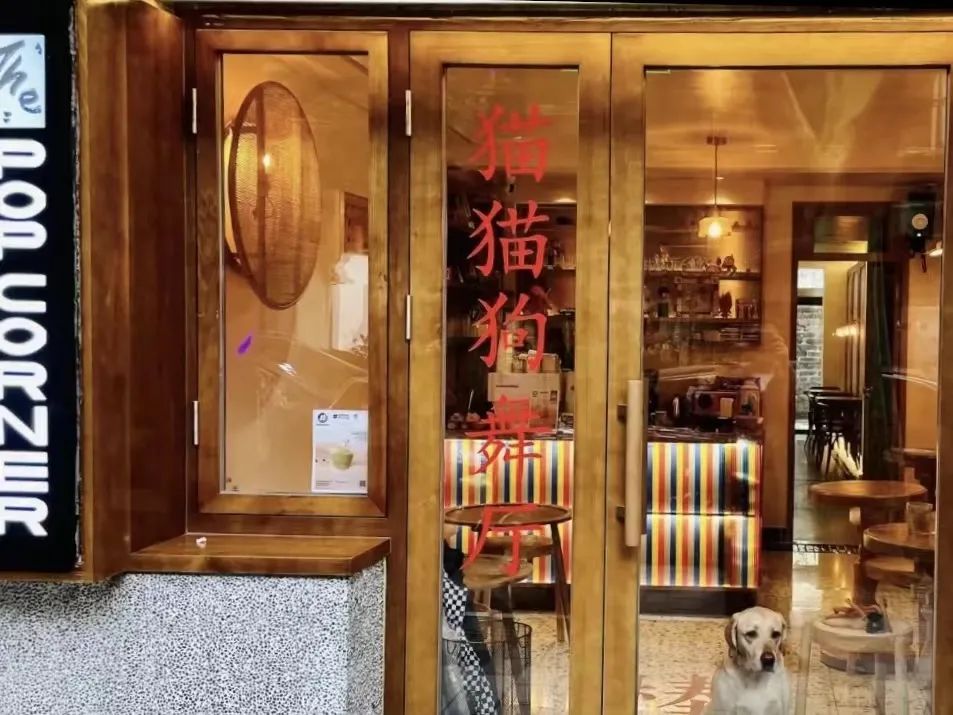shingo(shingo是什么意思)