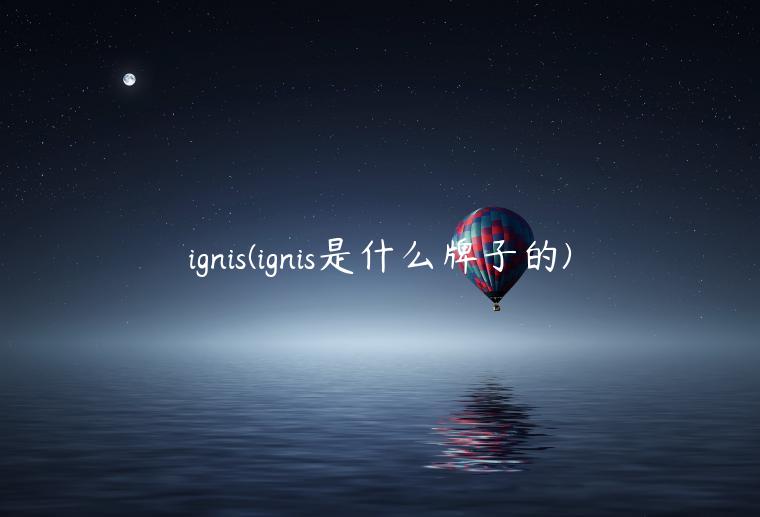ignis(ignis是什么牌子的)