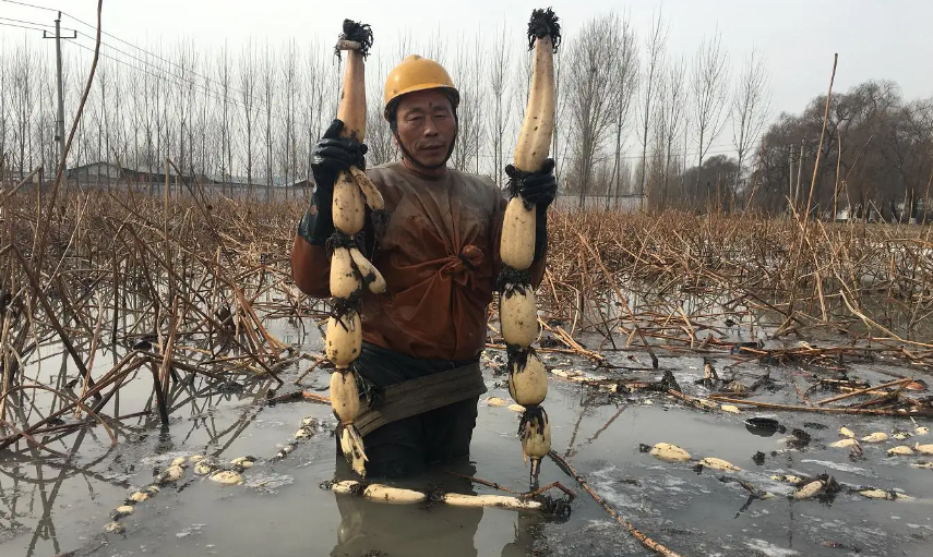 投资10元一小时赚500赚钱（微信投资10元一小时赚500）