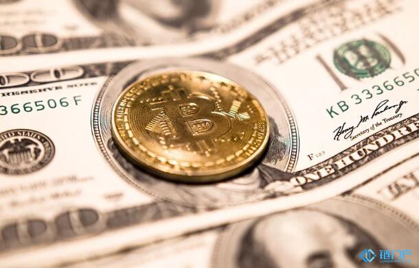 王凯甚么是位数汇率？它为何这般比特币 病原体