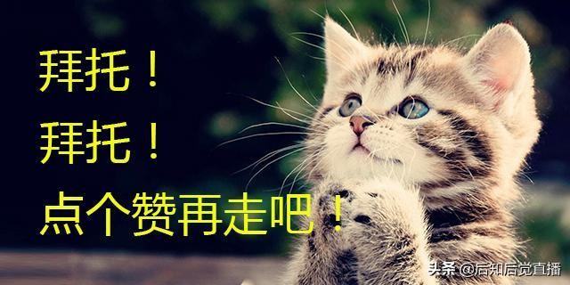 股票型基金是什么意思（股票类基金什么意思）
