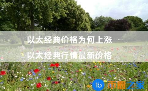 以太经典价格走势(以太经典行情**价格)