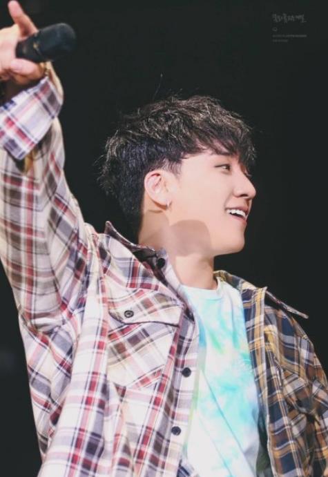 d社是什么(D社是什么意思)