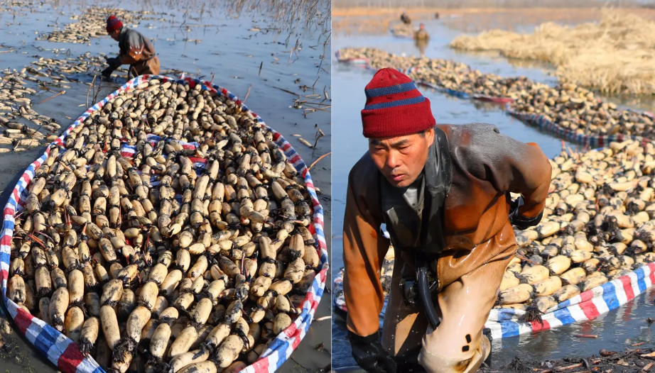 投资10元一小时赚500赚钱（微信投资10元一小时赚500）