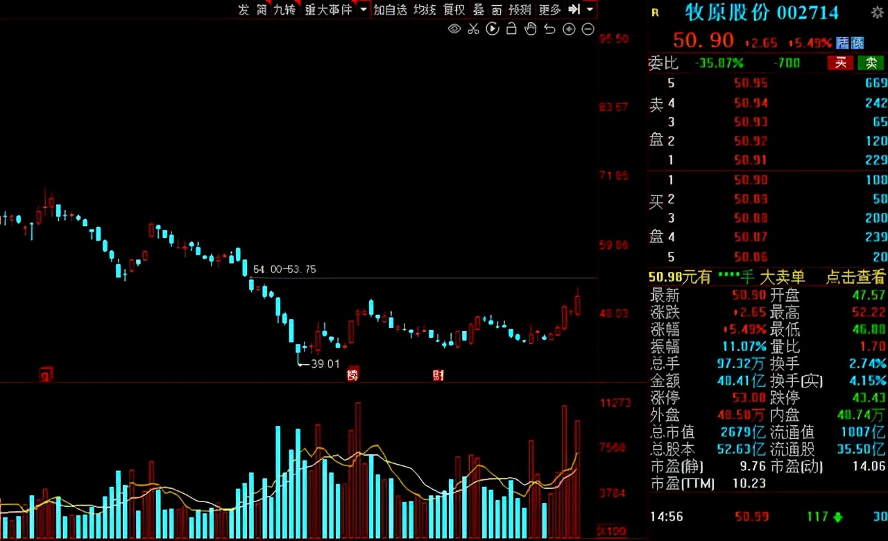 猪肉股票有哪些（猪肉股票有哪些代码）