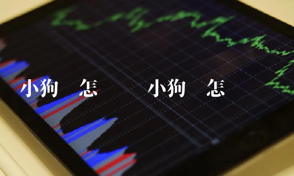 小狗币怎么买 小狗币怎么购买