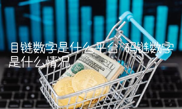 目链数字是什么平台 码链数字是什么情况
