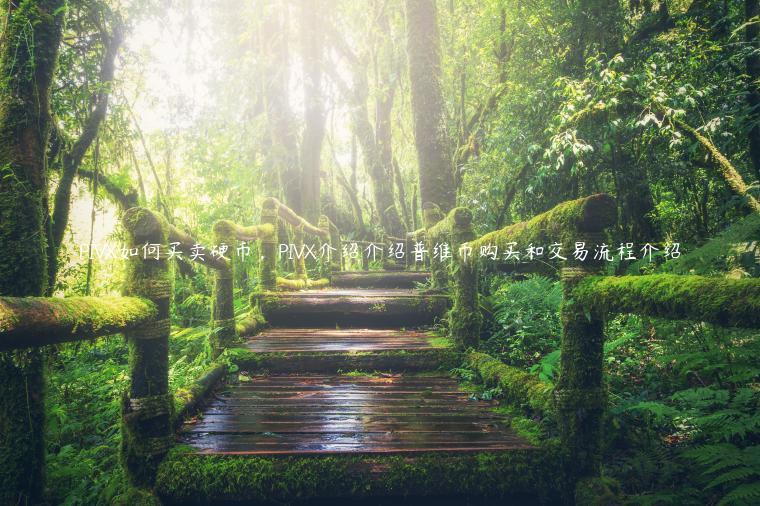 PIVX如何买卖硬币,PIVX介绍介绍普维币购买和交易流程介绍插图 PIVX如何买卖硬币,PIVX介绍介绍普维币购买和交易流程介绍