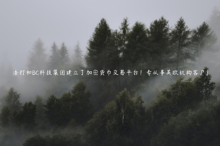 渣打和BC科技集团建立了加密货币交易平台！专从事英欧机构客户！