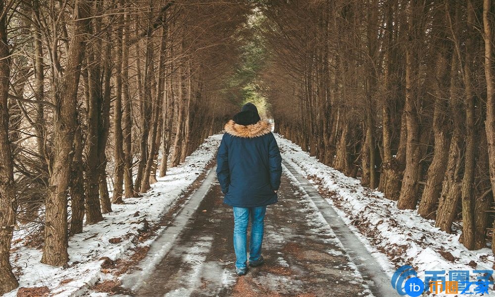 狗币创始人被键盘侠困扰，涉嫌退出社交网络