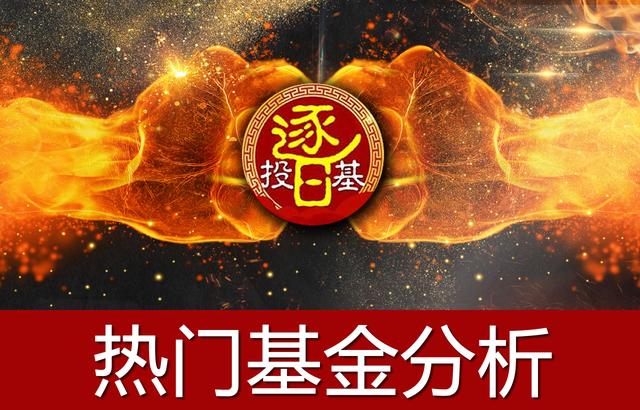 消费类基金(消费类基金龙头有哪些)
