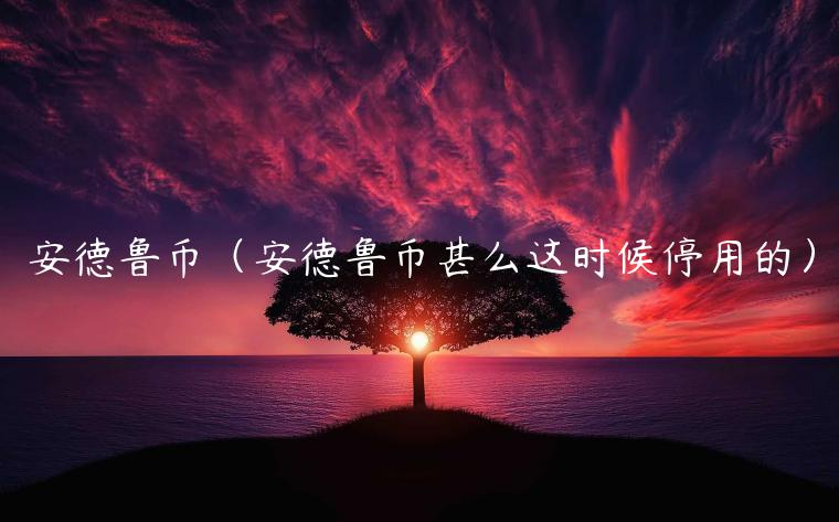 安德鲁币(安德鲁币甚么这时候停用的)