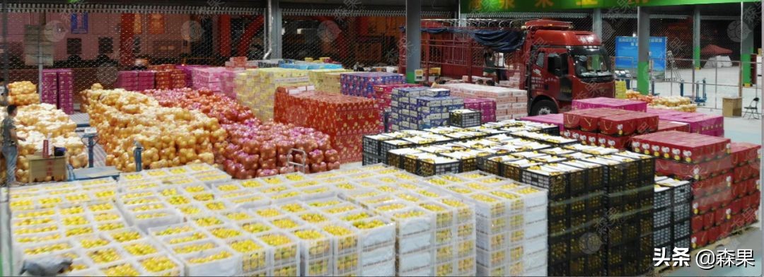 海泉果业官网（山泉果业有限公司）13