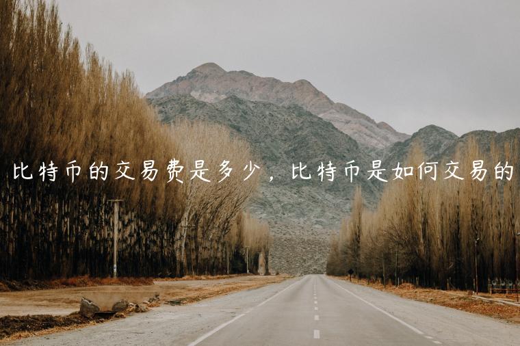 比特币的交易费是多少，比特币是如何交易的