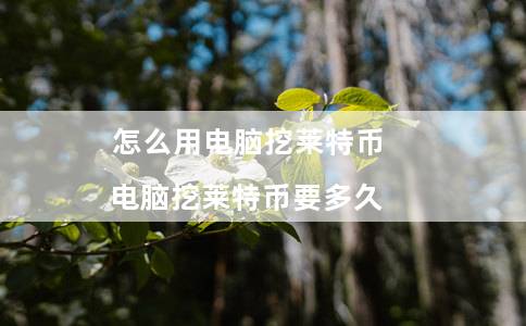 怎么用电脑挖莱特币（电脑挖莱特币要多久）