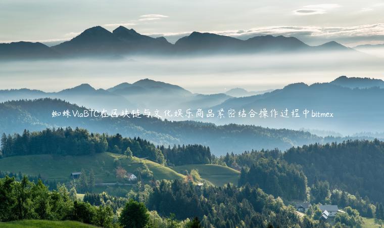 蜘蛛ViaBTC在区块链与文化娱乐商品紧密结合操作过程中bitmex