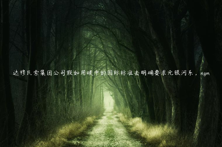 达穆瓦索集团公司假如用碳中的国际标准去明确要求元银河系，ngm