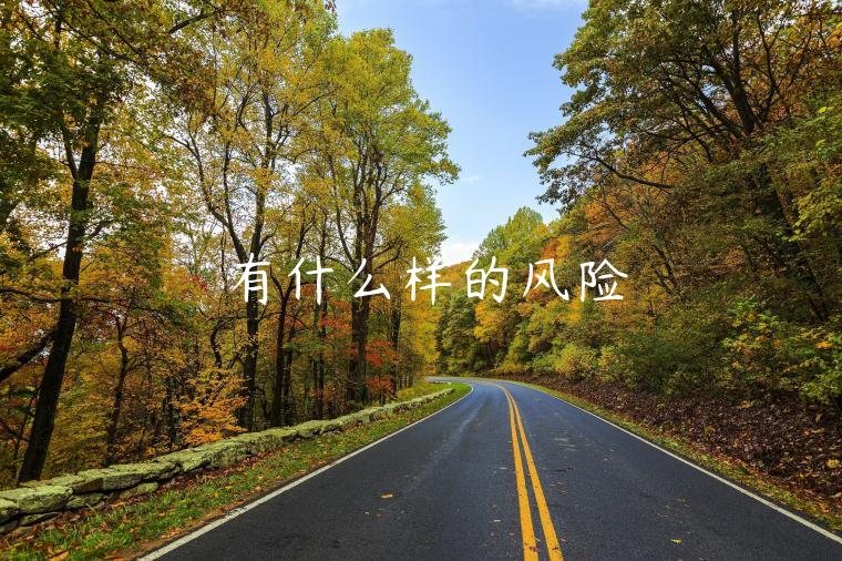有什么样的风险