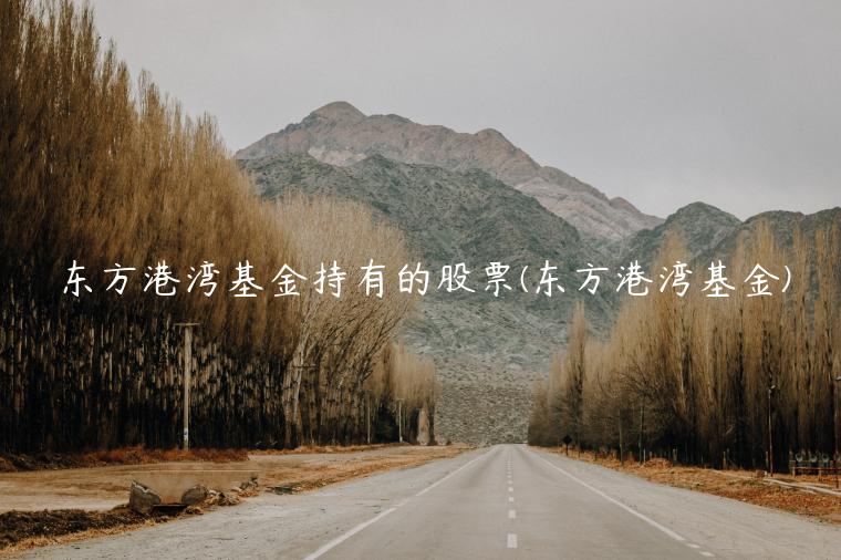 东方港湾基金持有的股票(东方港湾基金)