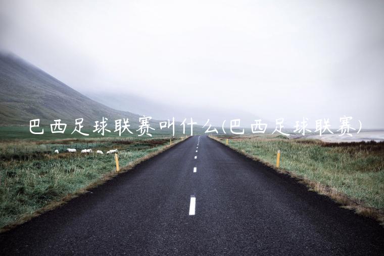 巴西足球联赛叫什么(巴西足球联赛)插图 巴西足球联赛叫什么(巴西足球联赛)