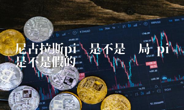 尼古拉斯pi币是不是骗局 pi币是不是假的