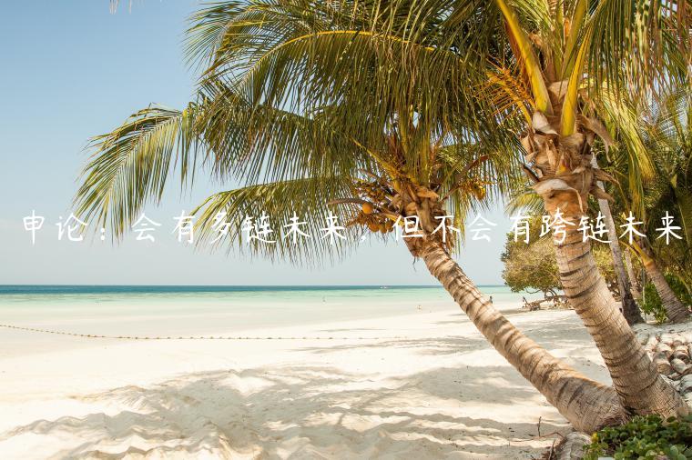 申论：会有多链未来，但不会有跨链未来