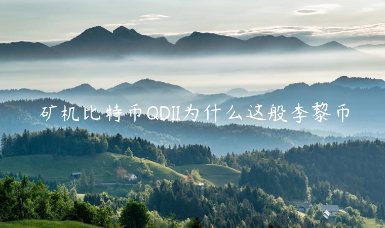 矿机比特币QDII为什么这般李黎币