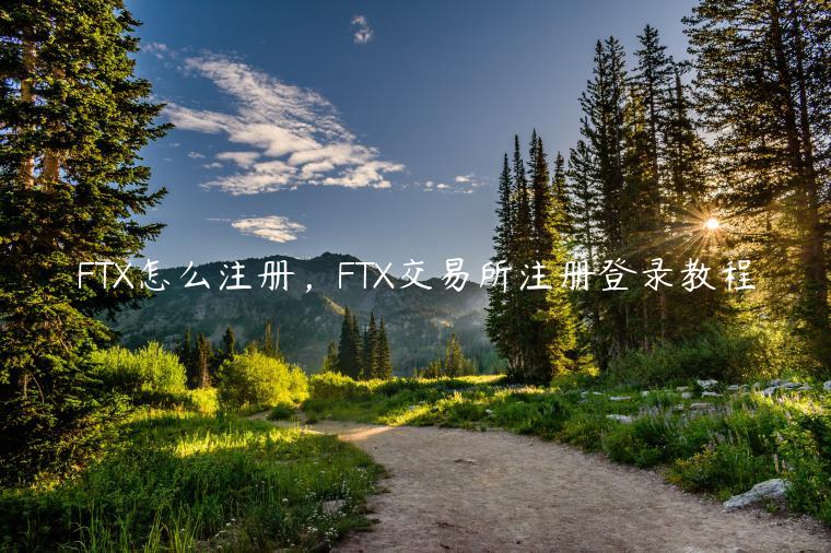 FTX怎么注册，FTX交易所注册登录教程