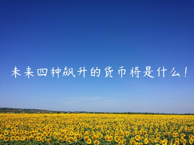 未来四种飙升的货币将是什么!插图 未来四种飙升的货币将是什么!