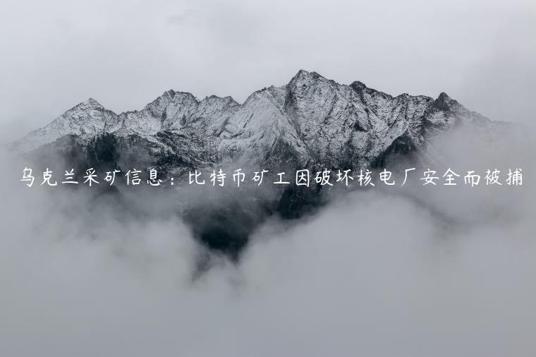 乌克兰采矿信息:比特币矿工因破坏核电厂安全而被捕插图 乌克兰采矿信息:比特币矿工因破坏核电厂安全而被捕