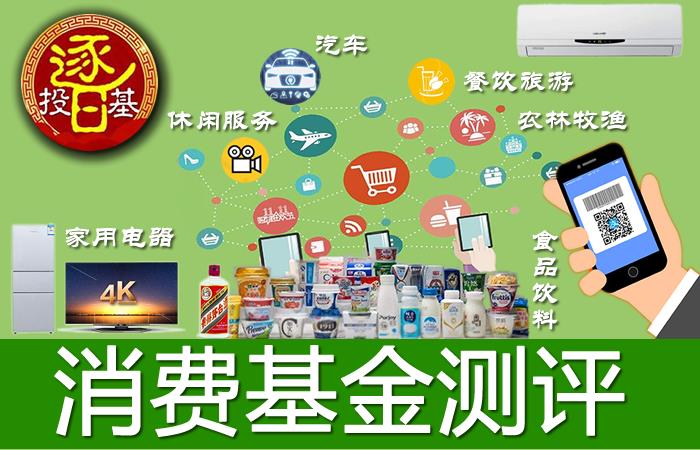 消费类基金(消费类基金龙头有哪些)