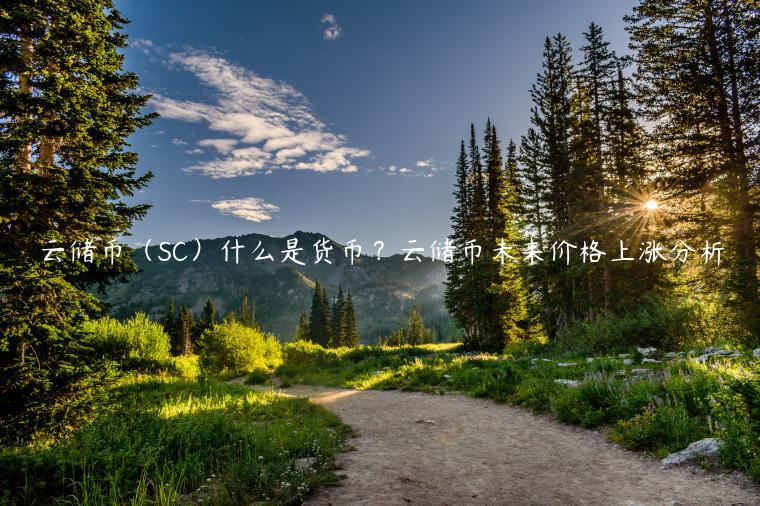 云储币（SC）什么是货币？云储币未来价格上涨分析