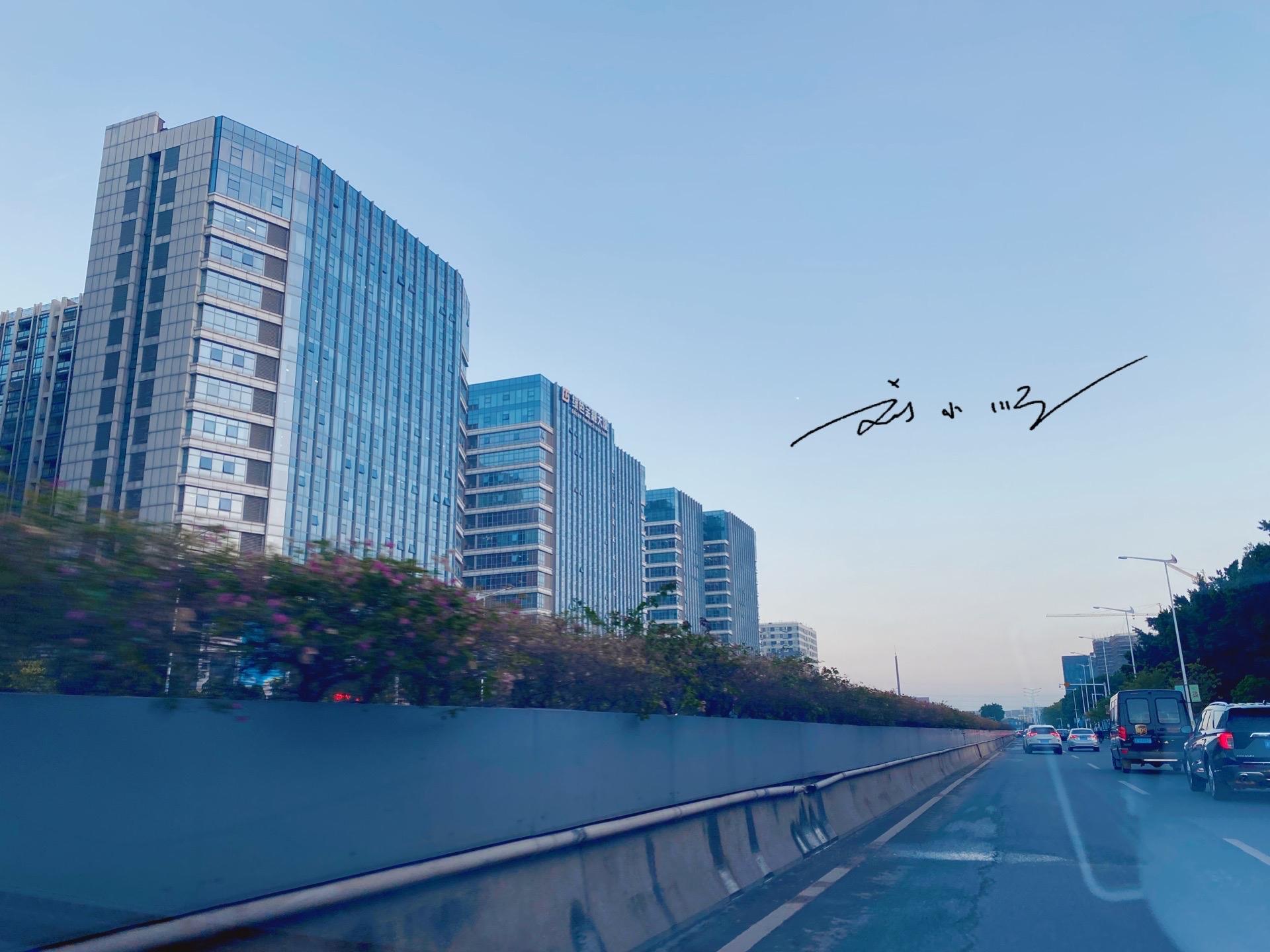 广州有哪些区 有几个区（广州有哪些区 有几个区些）