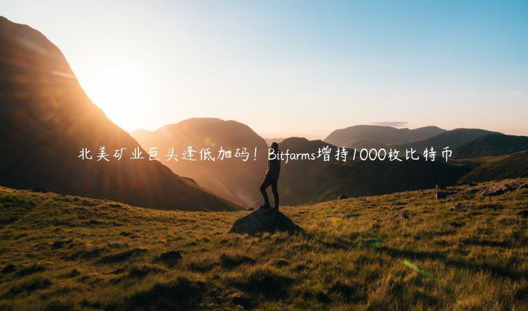 北美矿业巨头逢低加码!Bitfarms增持1000枚比特币插图 北美矿业巨头逢低加码!Bitfarms增持1000枚比特币