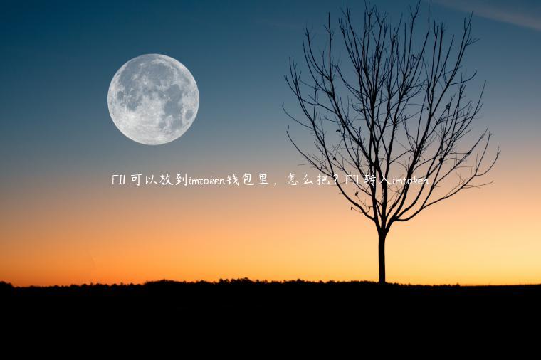 FIL可以放到imtoken钱包里，怎么把？FIL转入imtoken