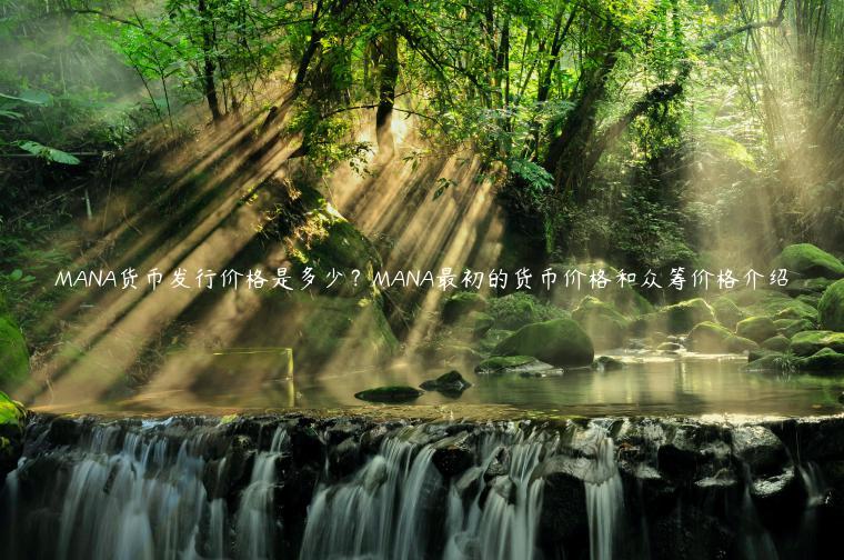 MANA货币发行价格是多少?MANA最初的货币价格和众筹价格介绍插图 MANA货币发行价格是多少?MANA最初的货币价格和众筹价格介绍
