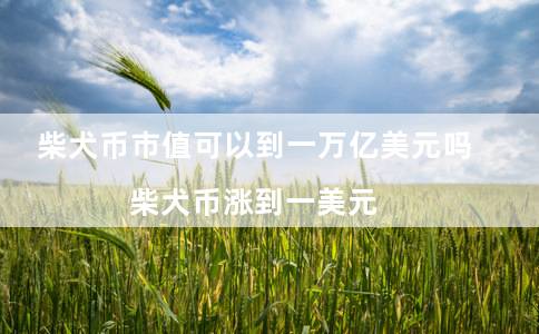 柴犬币市值可以到一万亿美元吗（柴犬币涨到一美元）